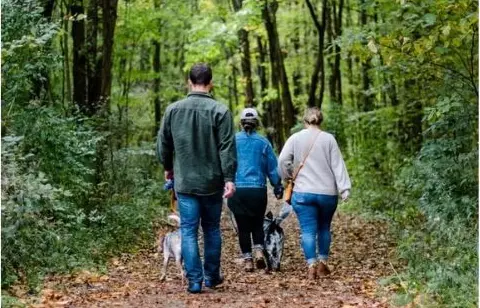 Familie går tur i skoven
